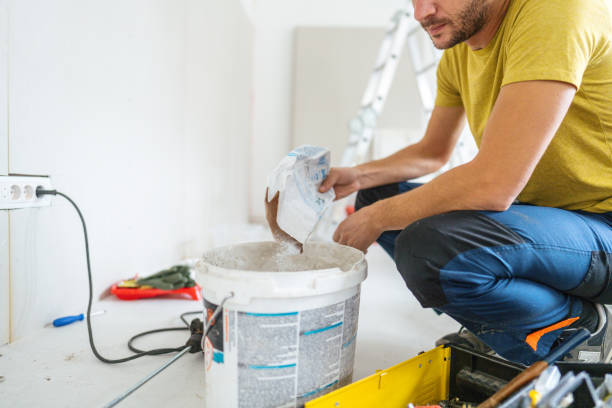 Best Mold Odor Removal Services  in West Van Lear, KY