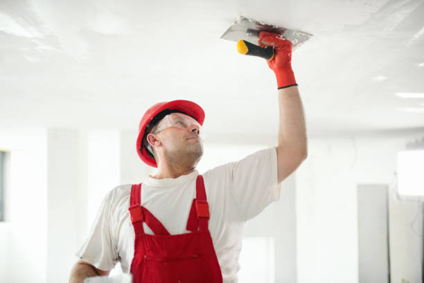 Trusted West Van Lear, KY Mold Removal Experts