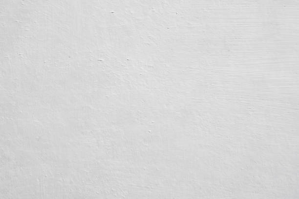 Best Emergency Mold Remediation  in West Van Lear, KY