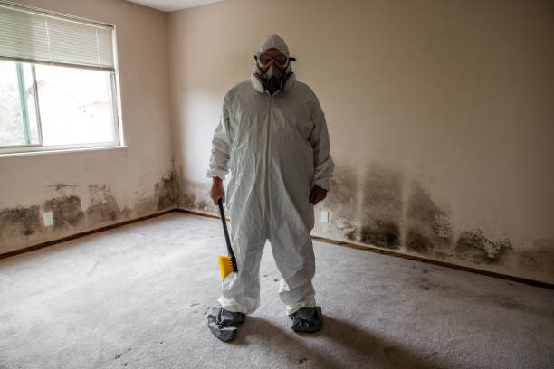 Biohazard Mold Removal in West Van Lear, KY