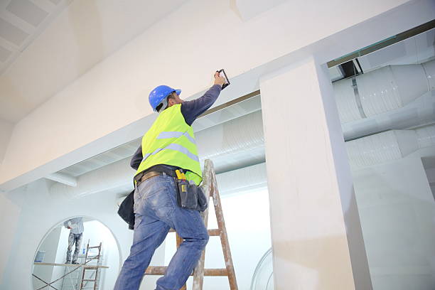 Best Post-Construction Mold Inspection  in West Van Lear, KY