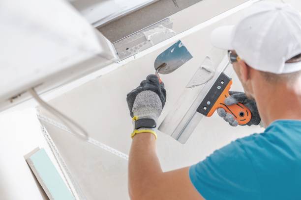 Best Commercial Mold Inspection  in West Van Lear, KY